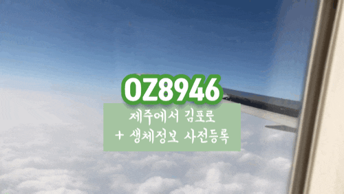 제주에서 김포 아시아나 OZ8946 (+생체정보 사전등록)