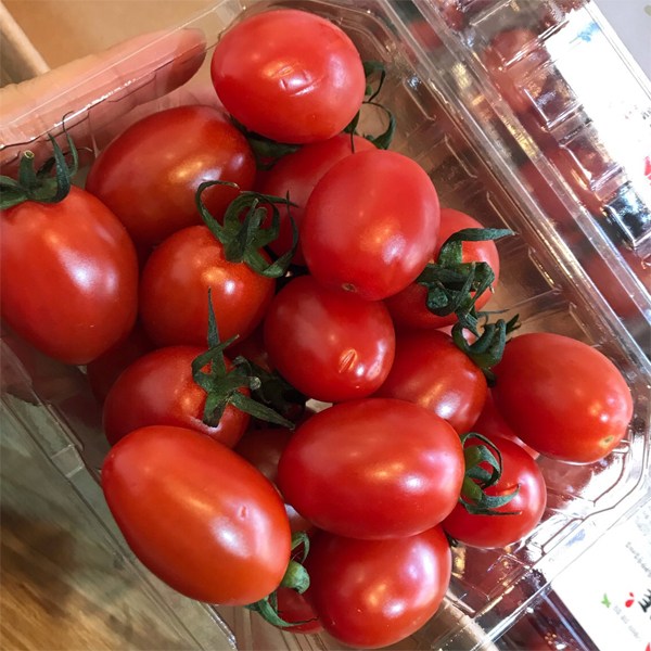 힐링엔 달콤함을 더하다 단마토500g x 2팩, 1box 추천해요 힐링엔 달콤함을 더하다 단마토500g x 2팩, 1box 추천해요