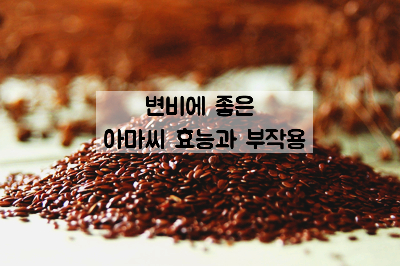  리그난이 풍부한 아마씨 효능