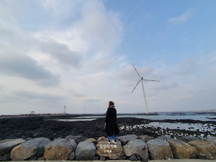  제주 신창풍차해안도로 산책로 탁 트인 풍경에 뻥 뚫리는 마음