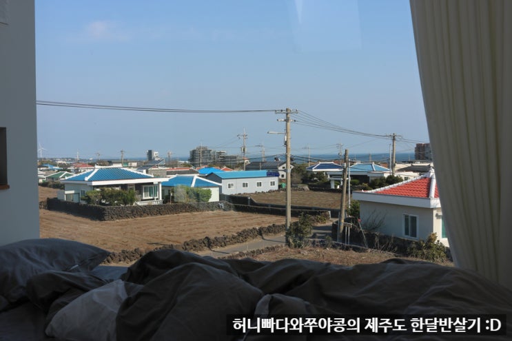  제주도 한달반살기 2일차, 강풍주의보를 뚫고 투 아일랜드에서 수제버거 먹고 유채꽃 사진찍기