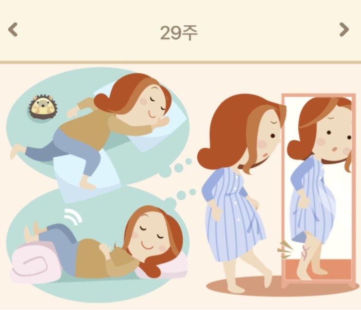  임신28주부터 29주까지 임신8개월 차
