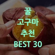  인기많은 꿀 고구마 추천 BEST 30 소개해요