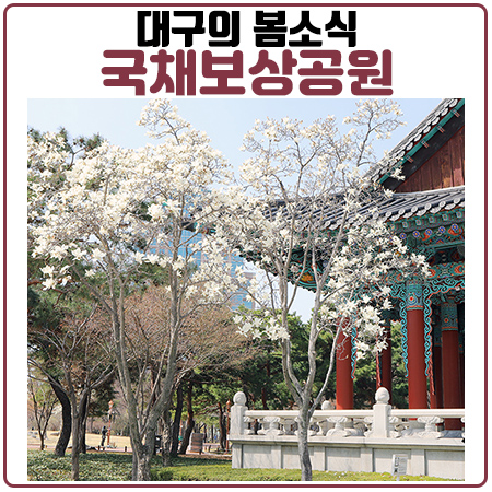 대구국채보상공원에서 봄을 느끼며 코로나를 이겨낼 준비 대구국채보상공원에서 봄을 느끼며 코로나를 이겨낼 준비