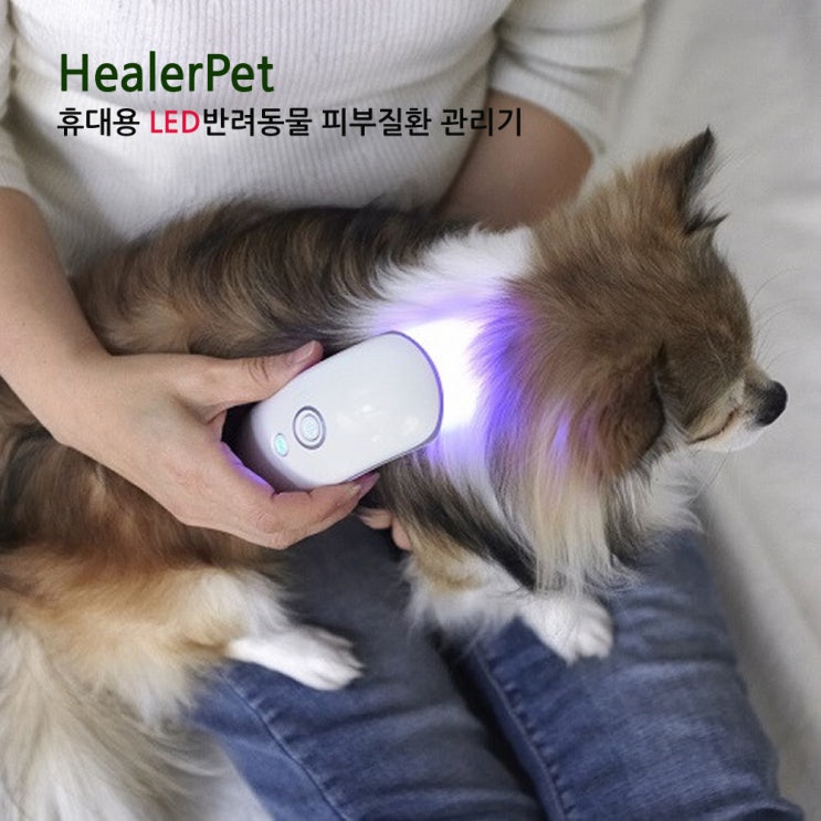 다간 힐러펫 반려동물 휴대용 LED 피부질환 관리기 마사지, 1개 추천해요 다간 힐러펫 반려동물 휴대용 LED 피부질환 관리기 마사지, 1개 추천해요