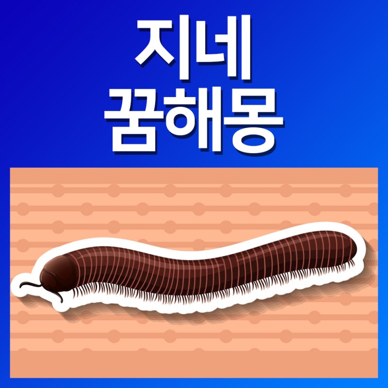 지네 죽이는 꿈 꿈 꿈 꿈 지네 나오는 꿈 해석