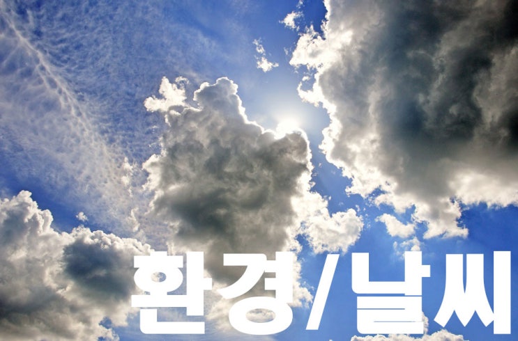  농산물 판매의 어려움 - 온라인 쇼핑몰