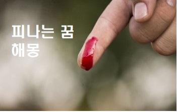  피나는 꿈 손에서 발가락에 피가나는꿈 해몽