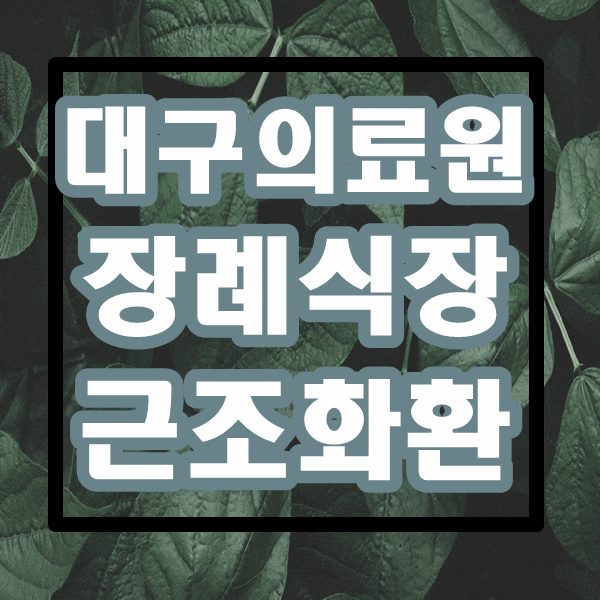  대구광역시 대구의료원 국화원 장례식장 근조화환 잘하는 꽃집