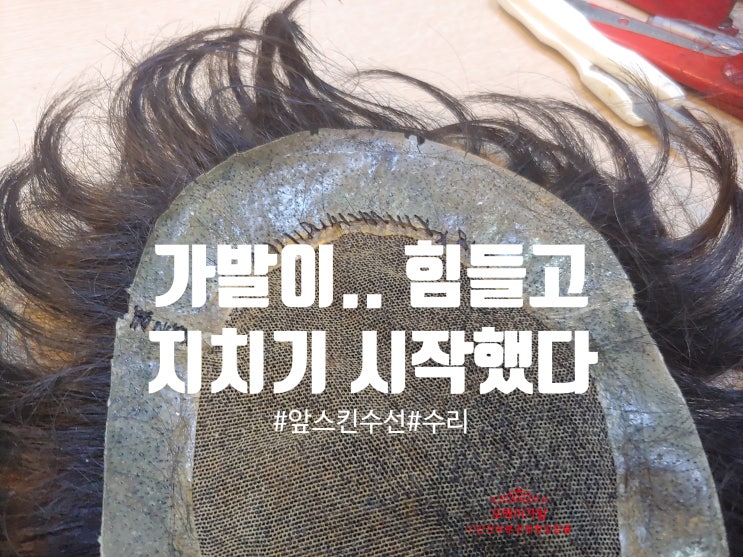  가발수선수리 전문 '지금! 나만의 고민 묻고 답하다'