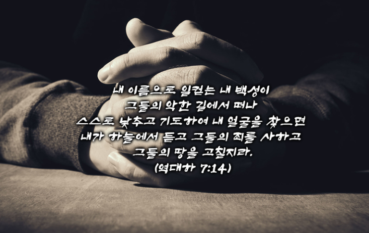  전염병에 관한 성경의 기록들