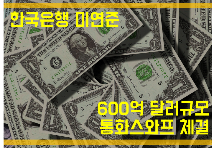 한국은행 통화스왑(SWAP) 600억 달러 규모 미연준과 체결 한국은행 통화스왑(SWAP) 600억 달러 규모 미연준과 체결