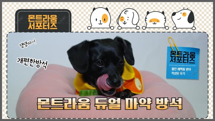 강아지방석. 몬트라움 듀얼마약방석 개편한방석. 몬트라움서포터즈 당첨 강아지방석. 몬트라움 듀얼마약방석 개편한방석. 몬트라움서포터즈 당첨