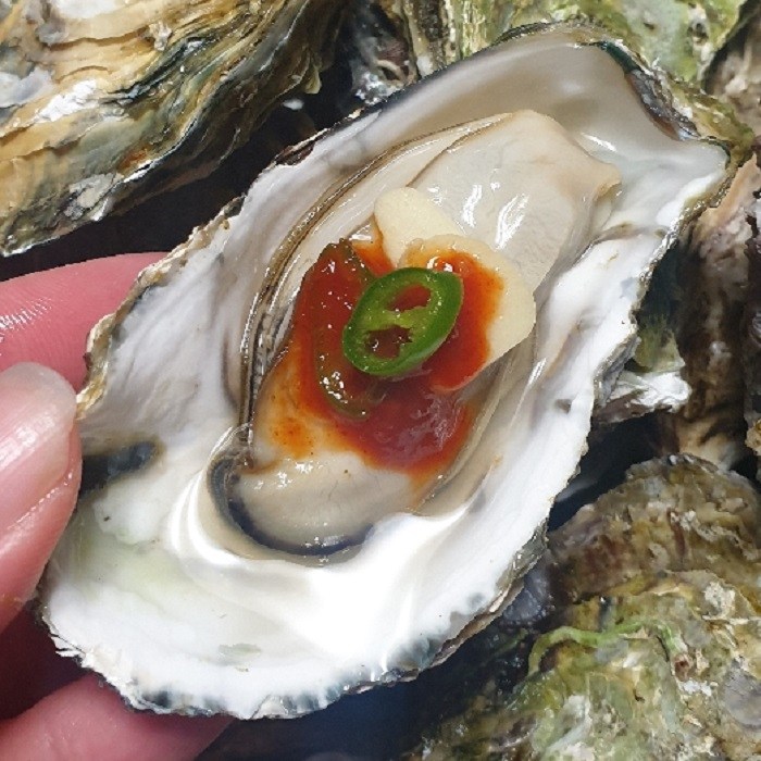 왕조개 키조개1미 외 제철수산물 골라담기 당일조업 총알발송, 1개, 석화굴3kg 추천해요 왕조개 키조개1미 외 제철수산물 골라담기 당일조업 총알발송, 1개, 석화굴3kg 추천해요