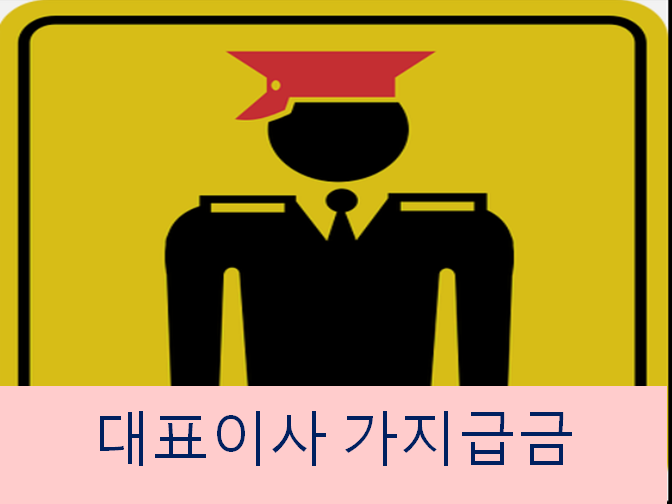  대표이사 가지급금 참고하세요!!