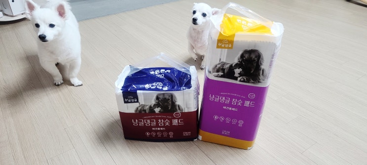 유해성분 없는 냥글댕글 참숯 강아지배변패드 후기