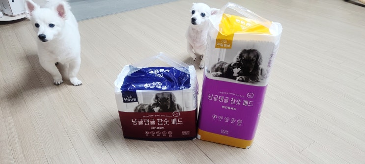  유해성분 없는 냥글댕글 참숯 강아지배변패드 후기