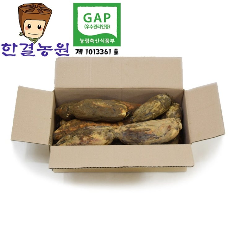 한결농원 모듬연근(최상품)2kg 3kg 5kg 직접재배 산지직송, 1개, 모듬 3kg 추천해요