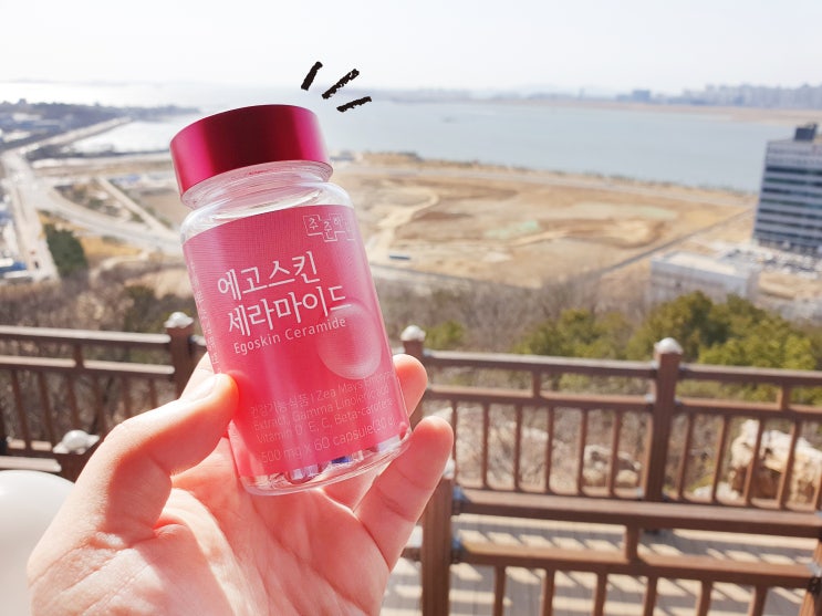  에고스킨 세라마이드 데일리헬스 피부보습 이너뷰티 좋아요~