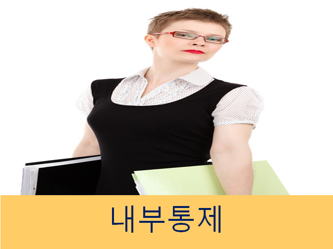  내부통제 꼼꼼히 확인하세요!!
