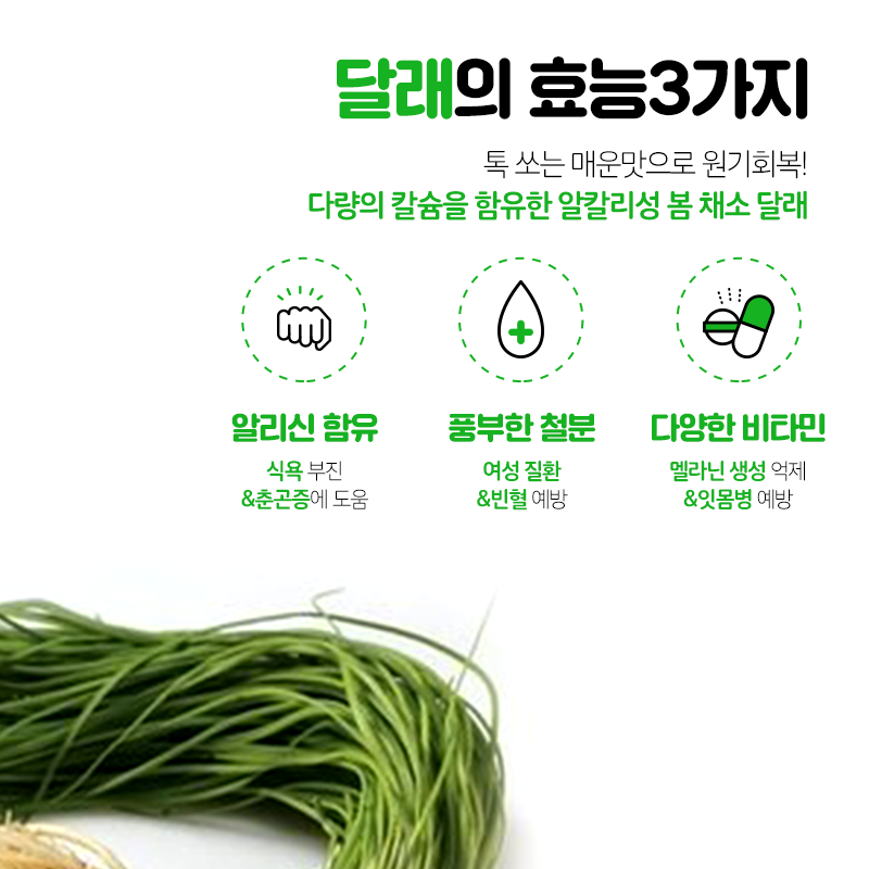 면역력에 좋은 음식 봄나물 달래 효능 및 부작용, 달래무침