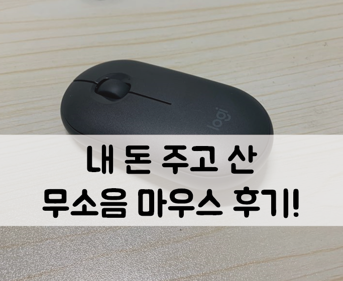  [무소음 마우스 추천] 내 돈 주고 산  LOGITECH PEBBLE M350 / 로지텍 무선 마우스