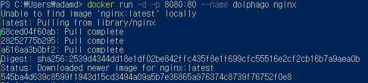  [Docker] Nginx로 Docker 연습하기