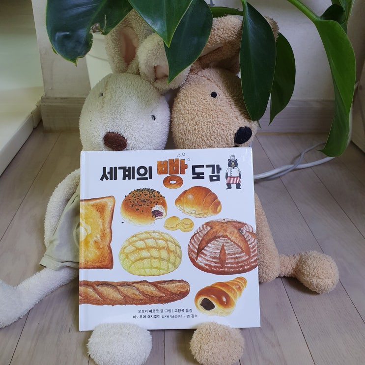  세계의 빵 도감 맛있는 책