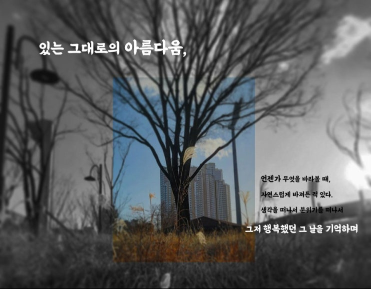  여러분의 의견을 듣고싶습니다!! + 오늘의생각(소통,감성,사진,공유)