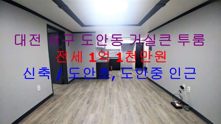  대전 서구 도안동 도안초,도안중 가깝게 있는 신축 거실큰 투룸 전세매물입니다 ^^