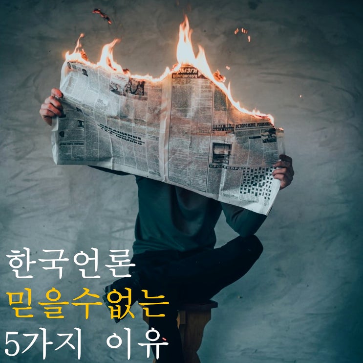  라파엘라시드 "한국 언론, 믿을 수 없는 다섯가지 이유" 와 나만의 팩트체크 방법