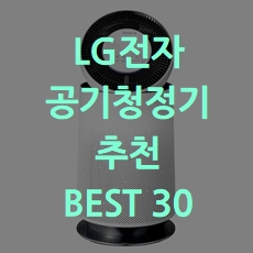 성능좋은 lg전자 공기청정기 추천 BEST 30 소개해요