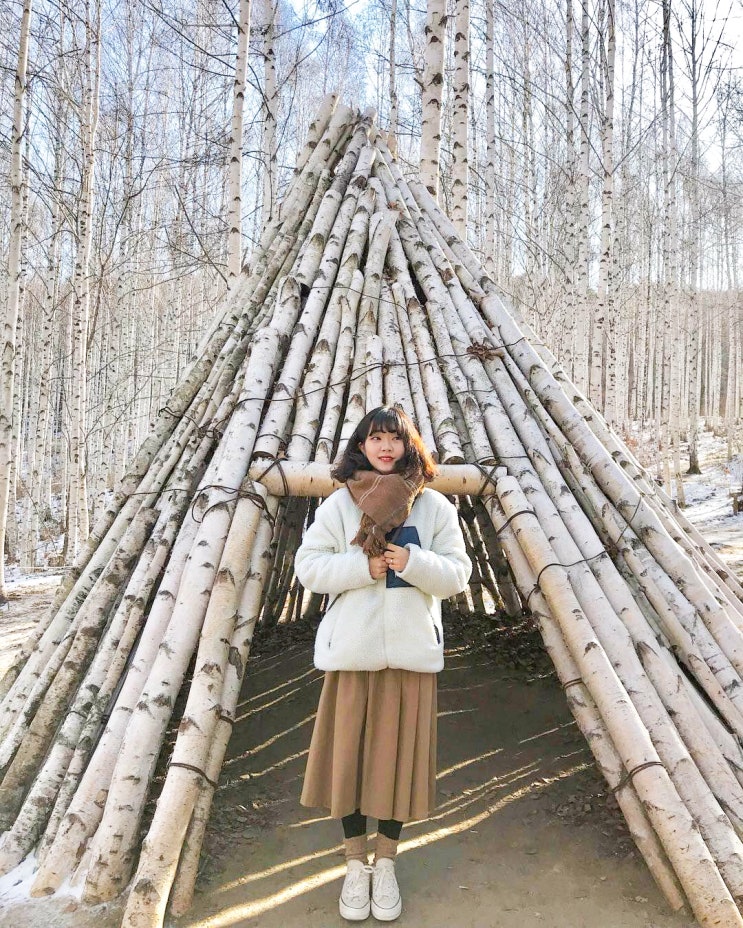 [속초 가볼만한곳] 언제 가도 매력적인 순백의 숲 ' 인제 자작나무숲 '