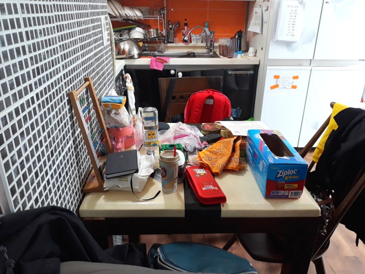  간소한 삶 - 더 많이 가질수록 삶은 무거워진다