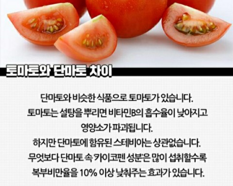 설탕만큼 달고 칼로리는 낮은 ‘단마토’를 아시나요?