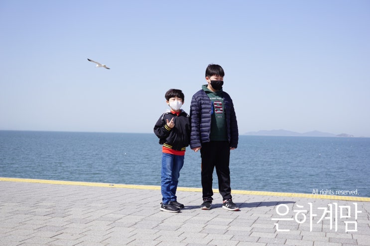  시화호 전망대 코로나 피해 아이와 야외로 고고씽