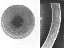 Prostatitis omnik vélemények