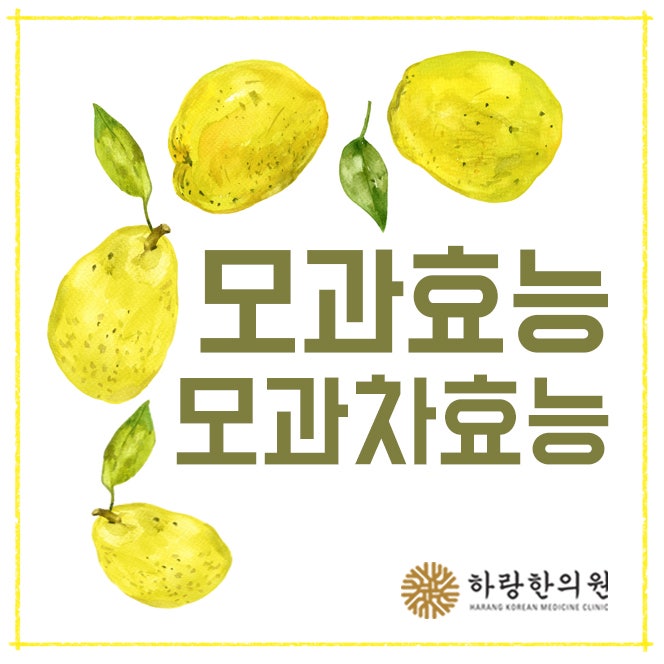 모과의 효능 및 부작용, 모과차