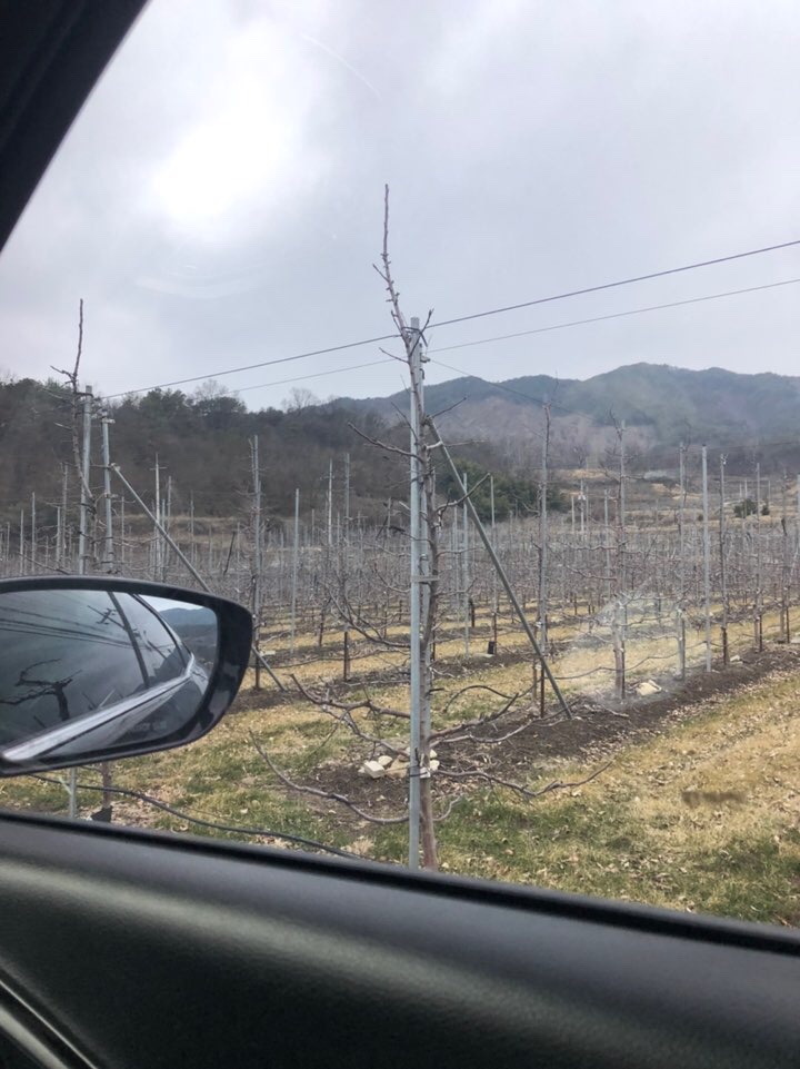  태풍처럼 바람이 불어서 걱정이 태산이었습니다...
