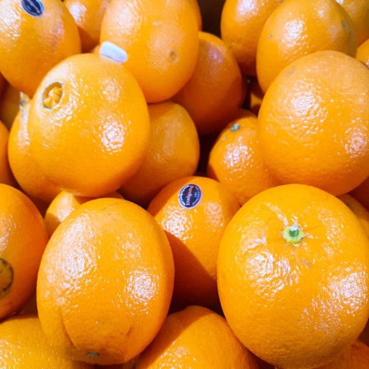 퓨어스펙 맛있는 고당도 오렌지, 35개입, 9kg 추천해요
