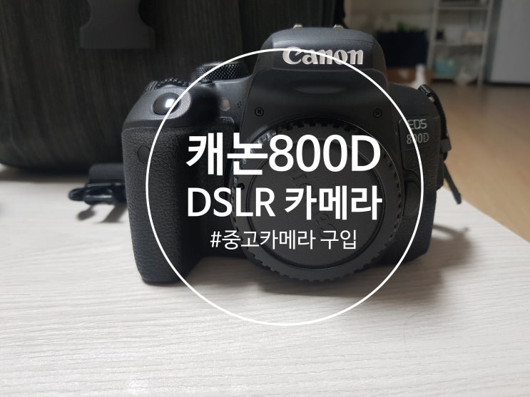  캐논800D 초보용카메라 추천 , 중고카메라 구입