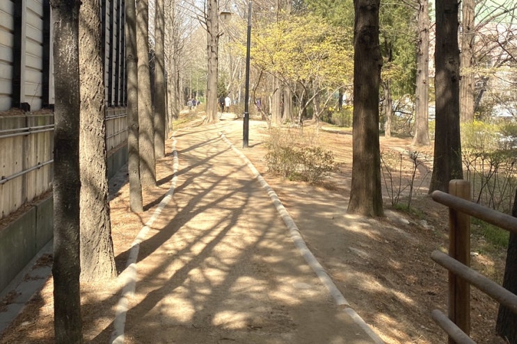 서초동 산책로 함께 걸어요 - 직장인 점심시간의 여유로 초대 합니다