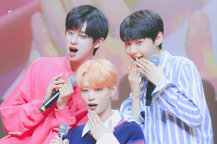우정즈 인싸투어 1주차 사진 우정즈 인싸투어 1주차 사진