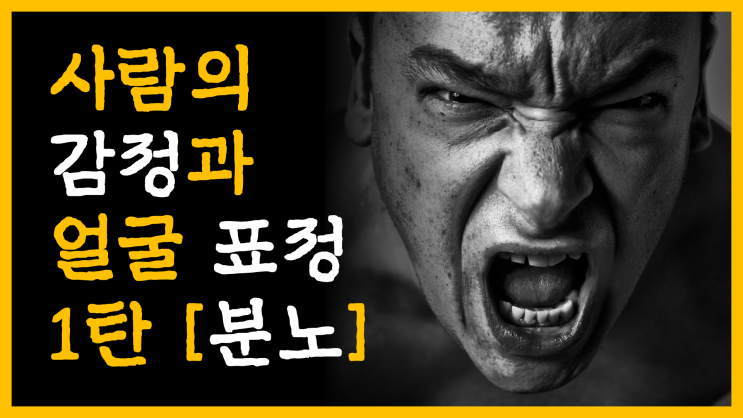 사람의 감정과 얼굴 표정 1탄 [feat. 분노]