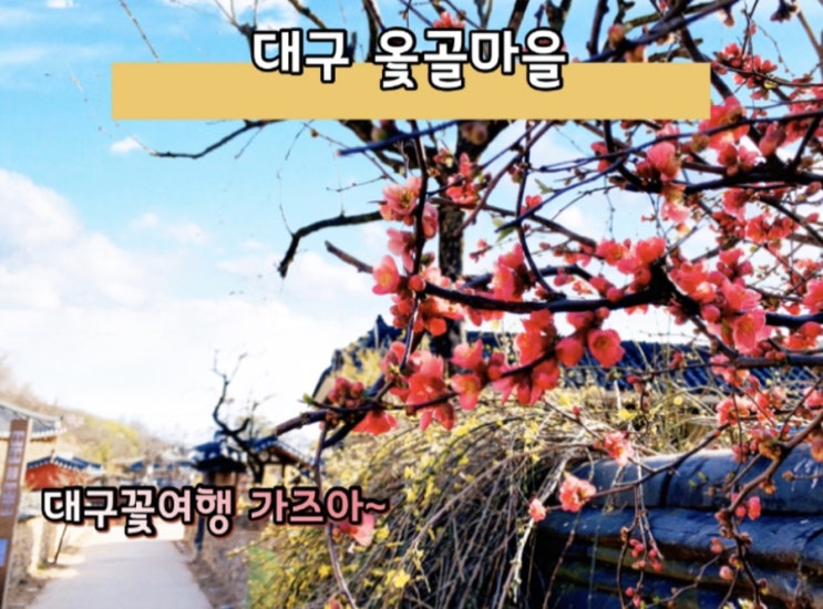  대구옻골마을 봄이 오긴 오는가 보구나