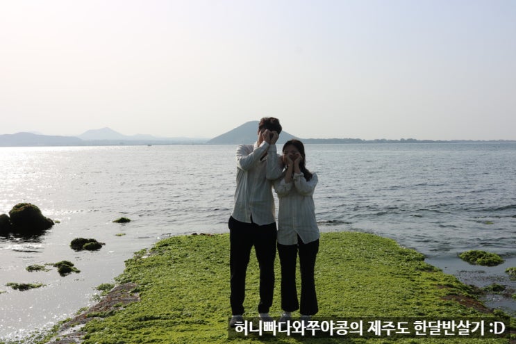  제주도 한달반살기 4일차, 우도 탐방기~ [카페록록/파도소리해녀촌/유채꽃밭]