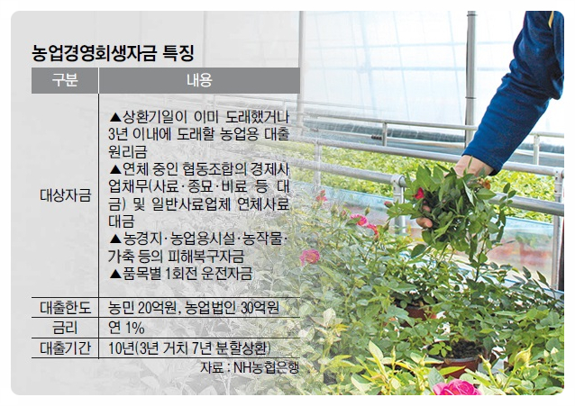  “빚 부담 농민, 농업경영회생자금 활용을” 기존 채무 장기저리로 바꿔줘,,,