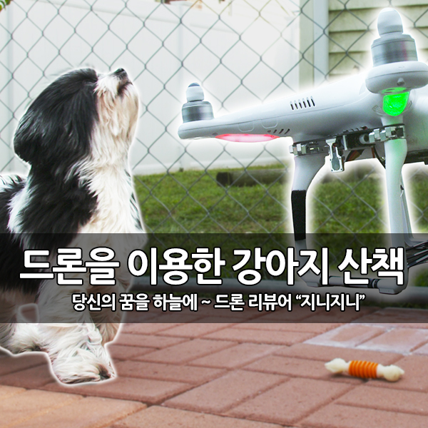 코로나바이러스 때문에 드론으로 강아지 산책을~ 코로나바이러스 때문에 드론으로 강아지 산책을~