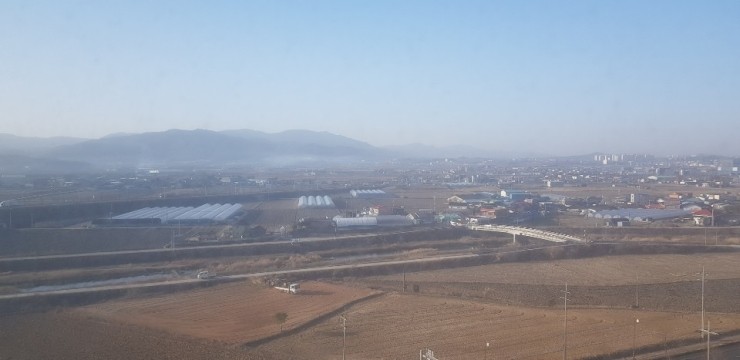  소소한 아침식사(시원한 무국)