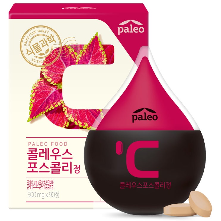 (로켓배송)팔레오 콜레우스포스콜리정 90정, 45g, 1개 추천해요 (로켓배송)팔레오 콜레우스포스콜리정 90정, 45g, 1개 추천해요